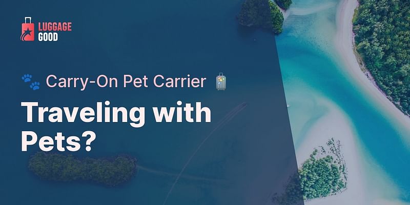 Traveling with Pets? - 🐾 Carry-On Pet Carrier 🧳
