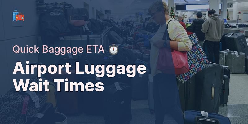 Airport Luggage Wait Times - Quick Baggage ETA ⏱️